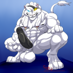 tumblr o39otlPpyw1ta33qfo1 1280